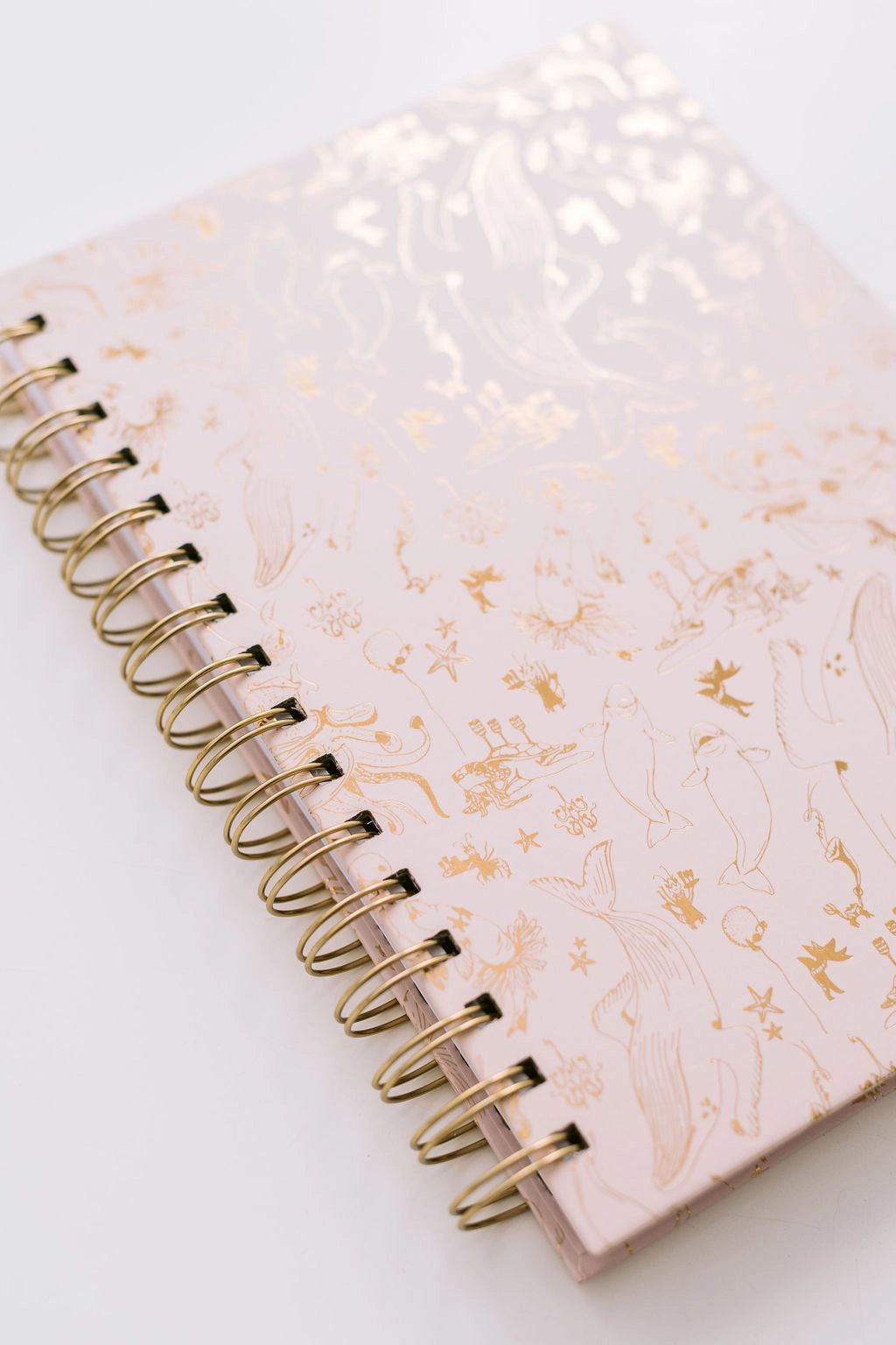 Spiral Notebook: Underwater Ball