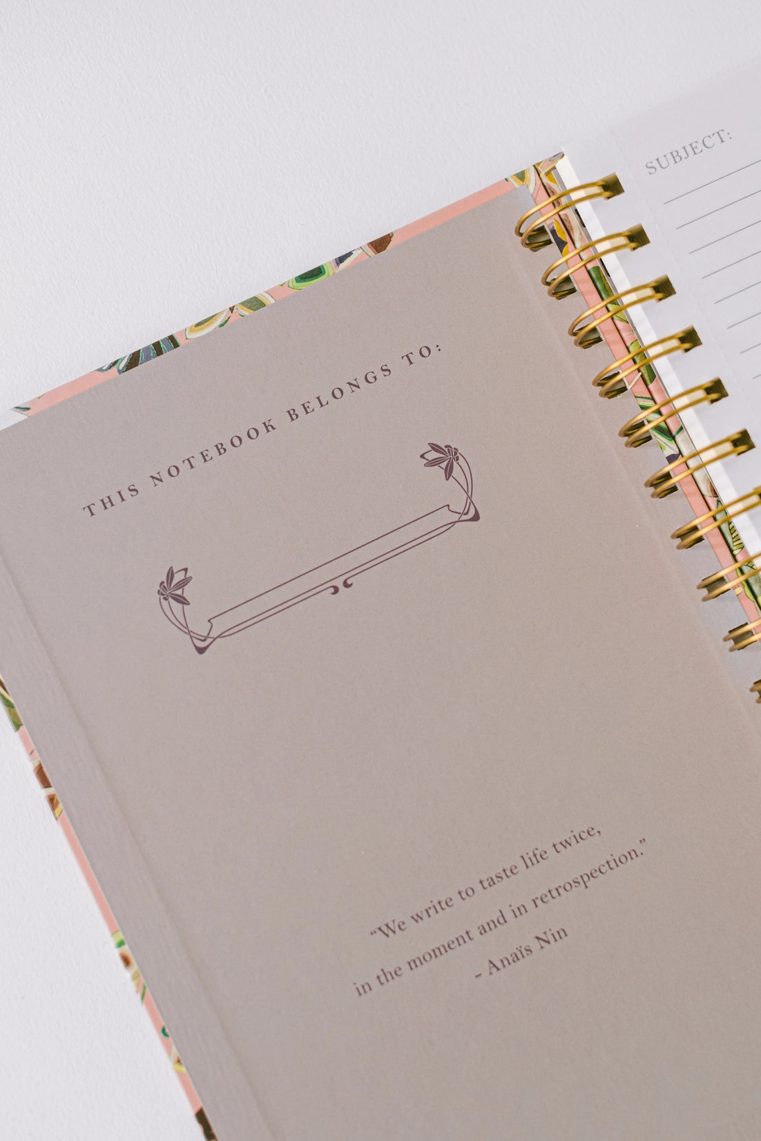 Spiral Notebook: Butterfly Reflections