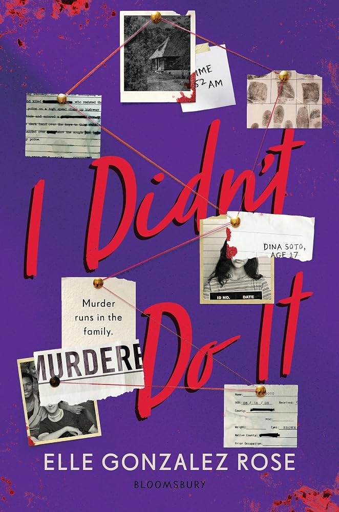 I Didn't Do It cover image