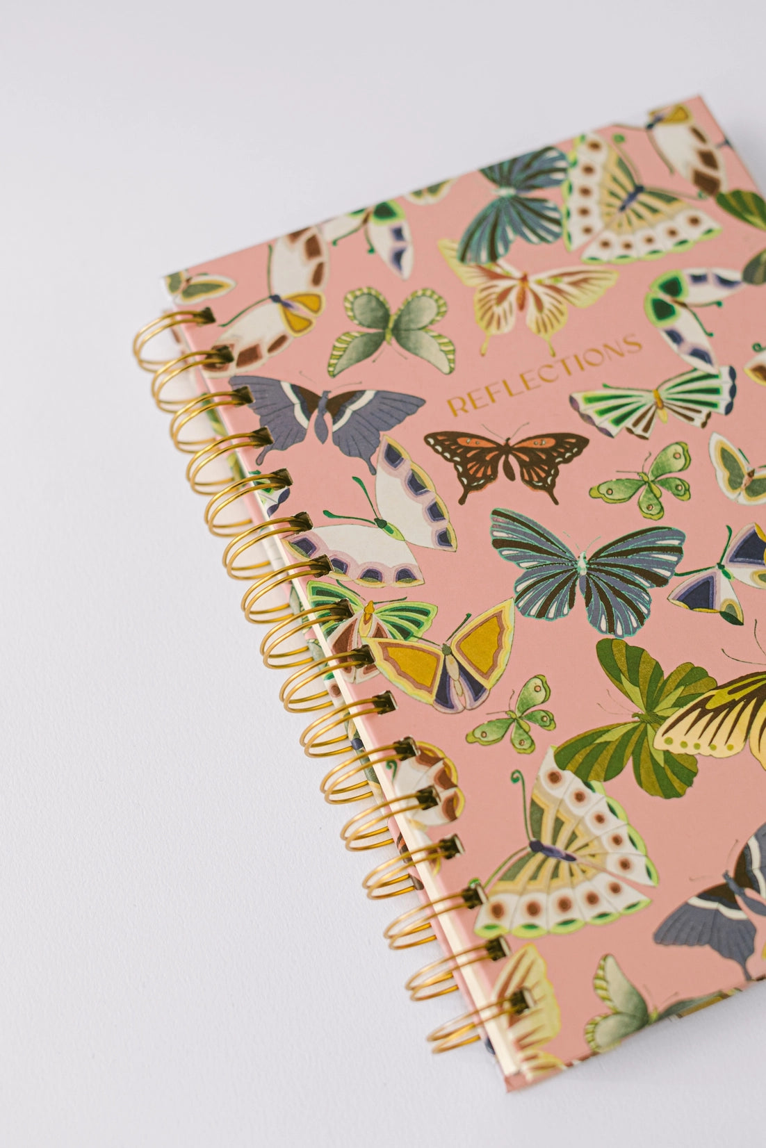Spiral Notebook: Butterfly Reflections
