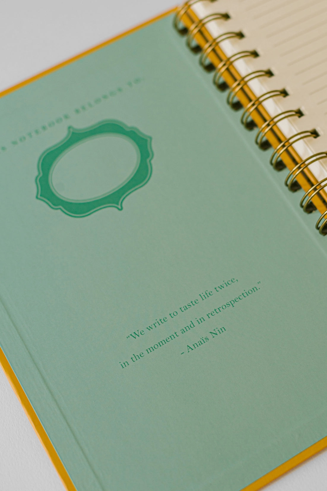 Spiral Notebook: Cat Library