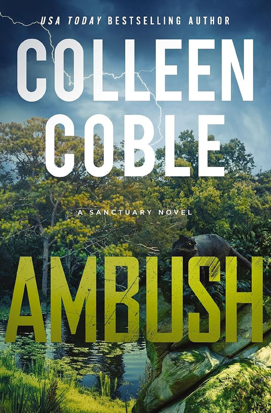 Ambush: A Small-Town Romantic Suspense (A Sanctuary Novel) cover image
