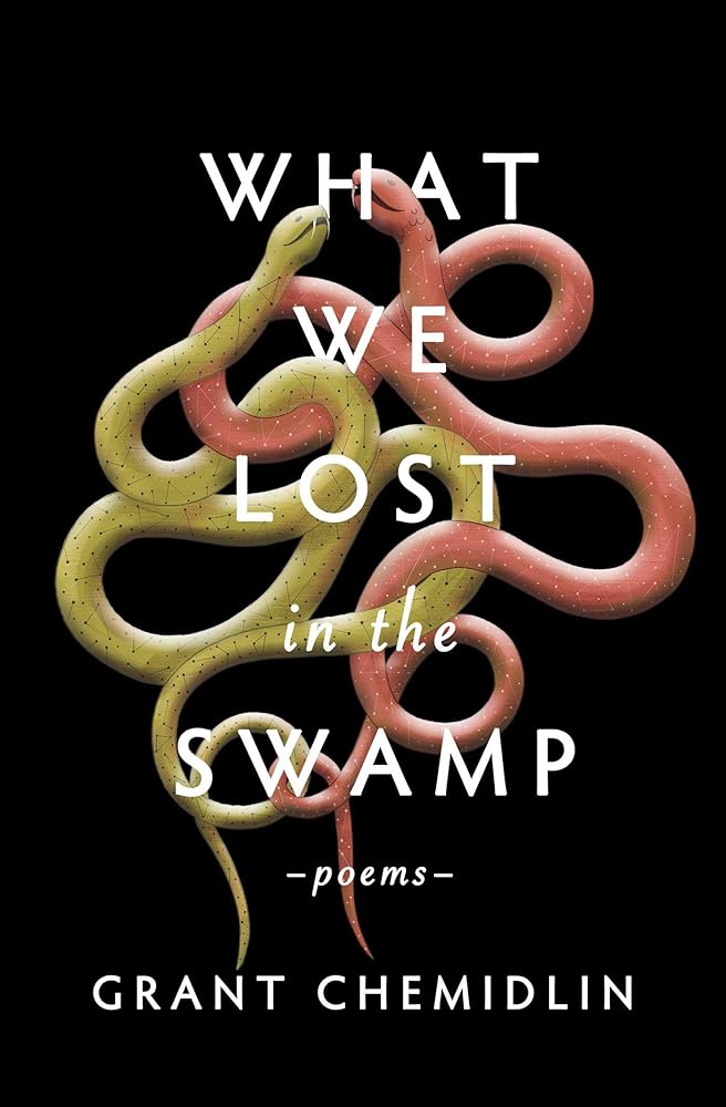 What We Lost in the Swamp: Poems cover image