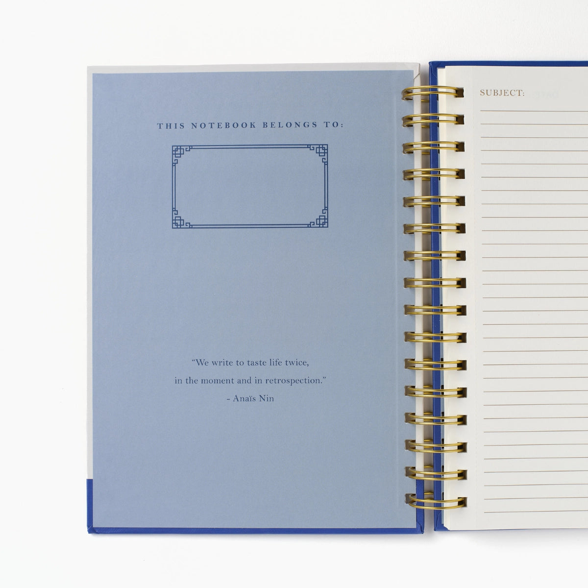 Spiral Notebook: Blue Chinoiserie Vase